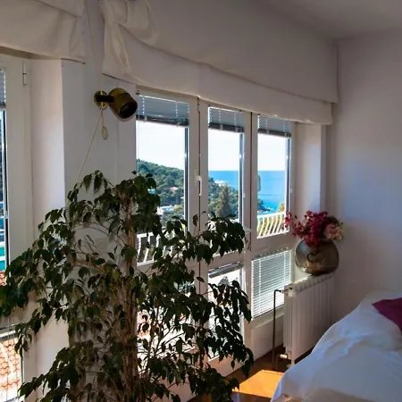 Vibrant In With Balcony *